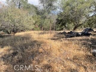 123 Jennifer Way, Coarsegold, CA 93614