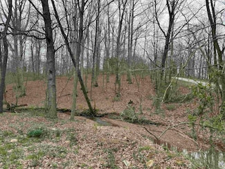 0 S Oak Forrest Dr, Cass Township, IN 47542