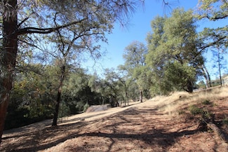 12848 Austin Forest Cir, Auburn, CA 95602