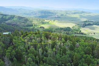 230 Ridge Rd, Cimarron, CO 81220