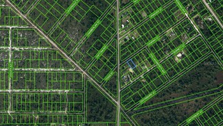 1003 Dearing St, Lake Placid, FL 33852