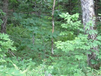 0 Seavey Corner Rd Unit 1226436, Vienna, ME 04360