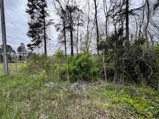 0 Lakeshore Dr Unit 24019795, St. Joseph, MI 49085