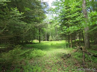 17 Myers Hill Rd, Forestport, NY 13338