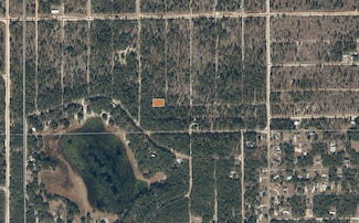 TBD Flamingo Dr, Interlachen, FL 32148