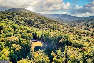 474 Buck Creek Trail, Epworth, GA 30541