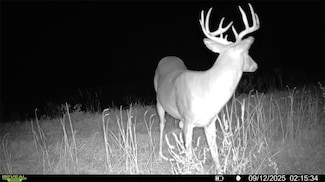 5480 State Route A Rural Route, Higbee, MO 65257