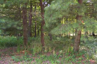 300 Winter Haven Dr, Varna, IL 61375