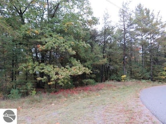 0 Jones St Unit 1933201, East Tawas, MI 48730