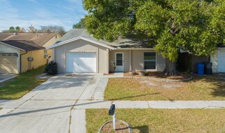 1763 Lakeview Village Dr, Brandon, FL 33510
