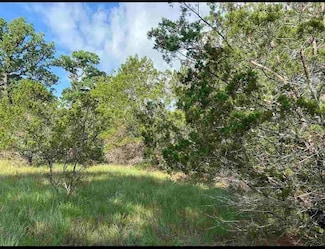 K10041 Bald Eagle, Horseshoe Bay, TX 78657