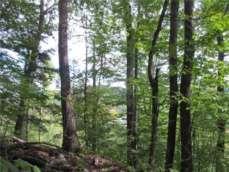 0 Bickford Unit 1370006, Porter, ME 04068