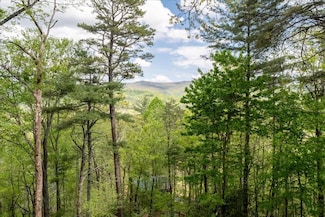 90 Mountain View Trail, Blue Ridge, GA 30513