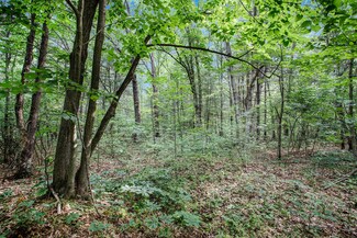 LOT A Babylon Rd, Allegan, MI 49010