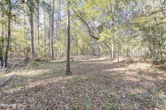 0 Brenmar St, Brandon, MS 39042