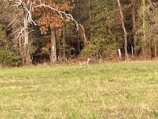 0000 N Magee Ave, Groveton, TX 75845