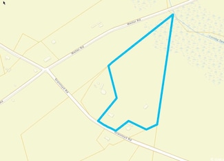 TBD Grainloyd Rd, Galivants Ferry, SC 29544