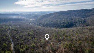 509 Fetterbush Ln, Hinton, VA 22831
