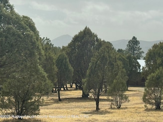 Lot 151 Reindeer Dr, Alto, NM 88312