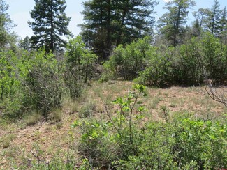 730 Squirrel Dr, Pagosa Springs, CO 81147