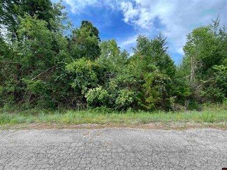 00 6th St, Flippin, AR 72634