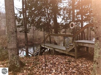6156 Riverview Rd, Mesick, MI 49668
