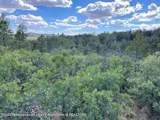 18 Various Lots, Timberon, NM 88350