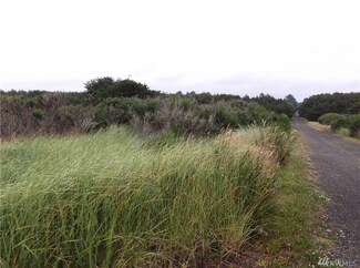962 W Chopaka Ln, Westport, WA 98595
