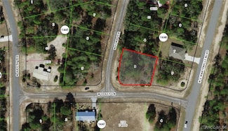 11135 N Edna Terrace, Citrus Springs, FL 34433