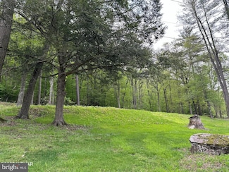 1570A W Side Rd, Watson Township, PA 17740