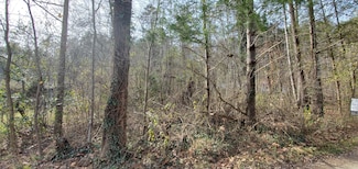 Lot 5 Cabin Hollow Rd, Eagle Rock, VA 24085