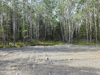 Lot 5 Bent Rod Ct, Sterling, AK 99672