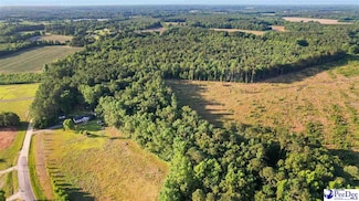 Lot 3 TBD Windham Town Rd, Lamar, SC 29069