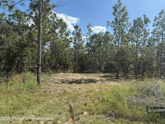 012496 Sanders Ave, Brooksville, FL 34614