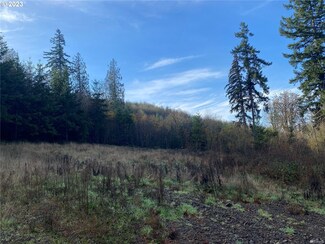 0 S Goble Creek Rd Unit Lot G 23684582, Kelso, WA 98626