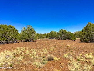 1528 Falcon Rd Unit Lot B, Show Low, AZ 85901