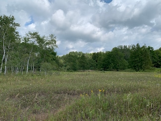 0 Old MacKinaw Trail, Boyne Falls, MI 49713