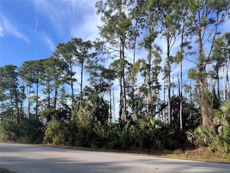 13486 Chamberlain Blvd, Point Charlotte, FL 33953