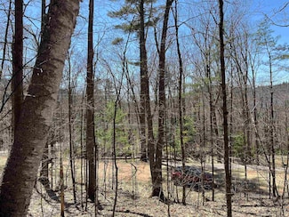 5-16-19 Boulder Ct, Campton, NH 03223