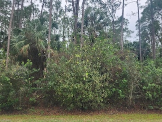 3415 41st Ave NE, Rural Estates, FL 34120