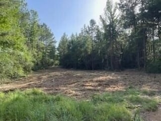 0 Mcclain Rd, Liberty, MS 39645