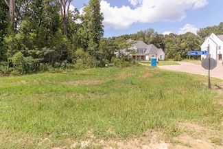 150 Crown Vista Cove, Piperton, TN 38017