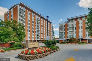 6606 Park Heights Ave Unit 303, Baltimore, MD 21215