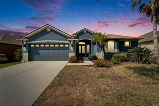 16516 Bridgewalk Dr, Lithia, FL 33547