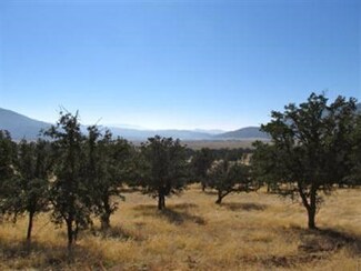 0 Thompson Canyon Ave, Caliente, CA 93518