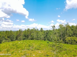 Tract 1 Ray Miller Rd, Sugar Tree, TN 38380