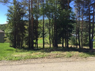 6432 Northwood Dr, Ellicottville, NY 14731