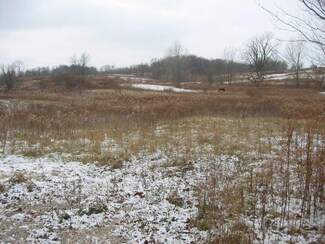 11214 N Wilkinson Rd, Mooreland, IN 47360