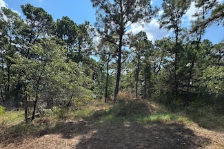 0 Hula Ln Unit ACT1032657, Bastrop, TX 78602