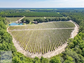 4115 Alabaha Woods Dr, Blackshear, GA 31516